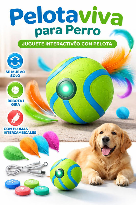 Pelotaviva Perro