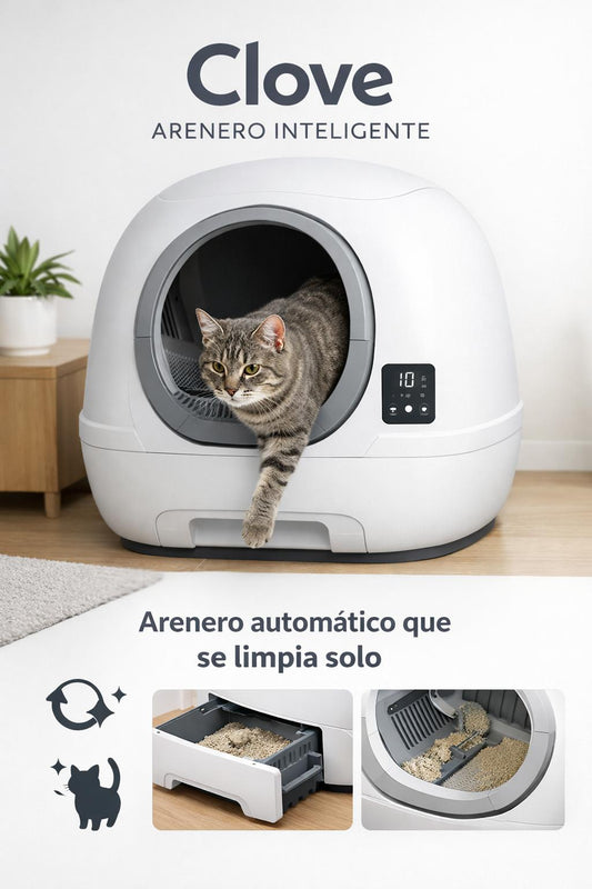 Clove Arenero Inteligente