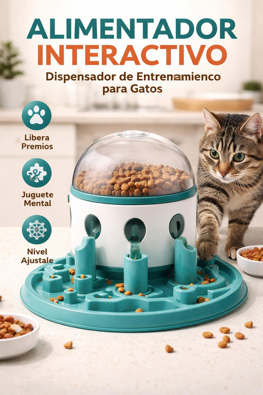 Alimentador Interactivo